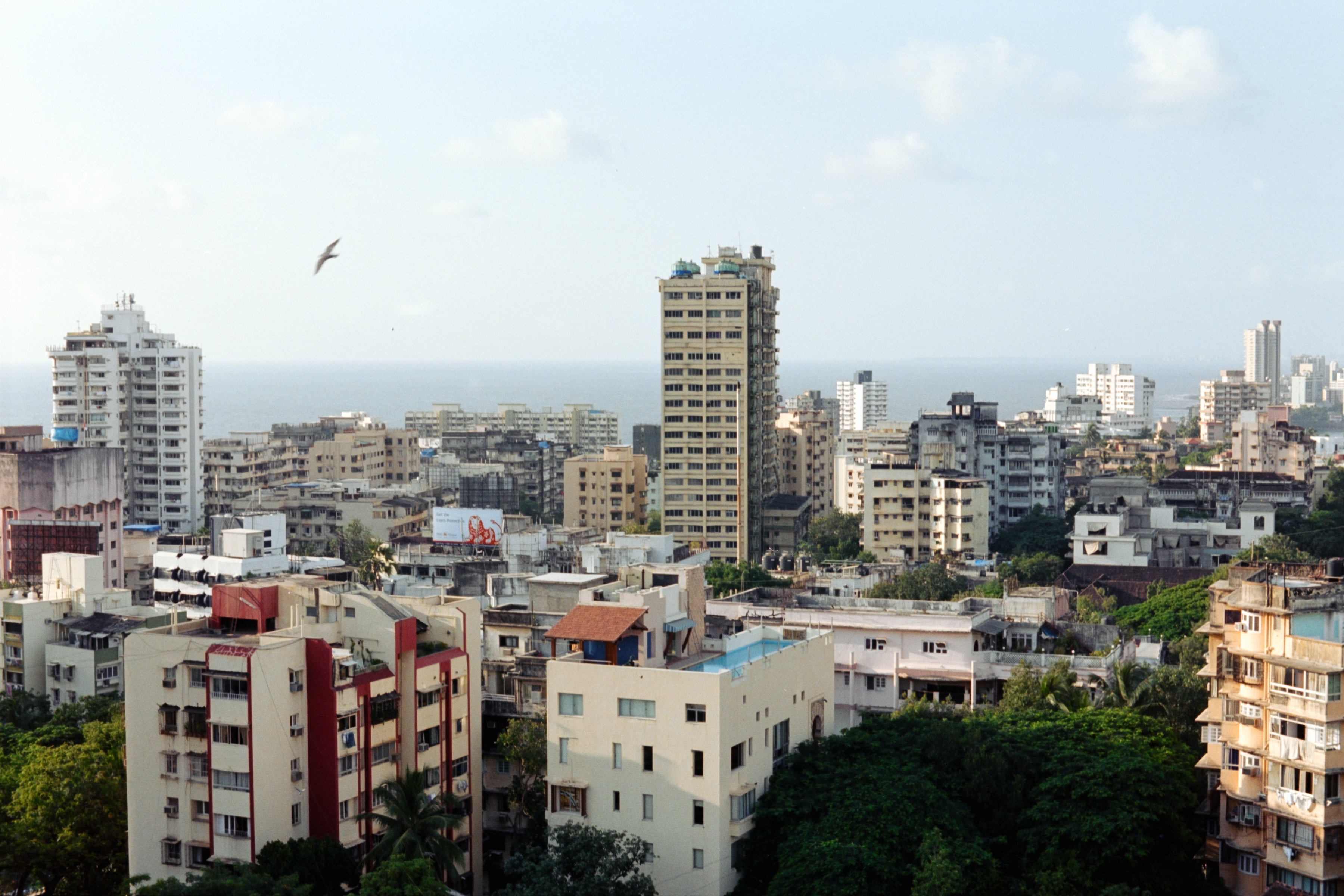 AHP F2004 09 001 sc250526 img20 NLP